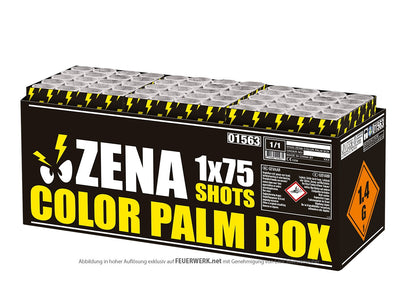 Zena Color Palm Box - Lichtenrader Feuerwerkverkauf