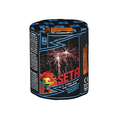 Seta (Batch 2024)