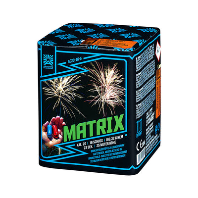 Matrix (Batch 2024)