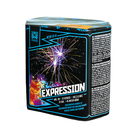 Expression (Batch 2022)