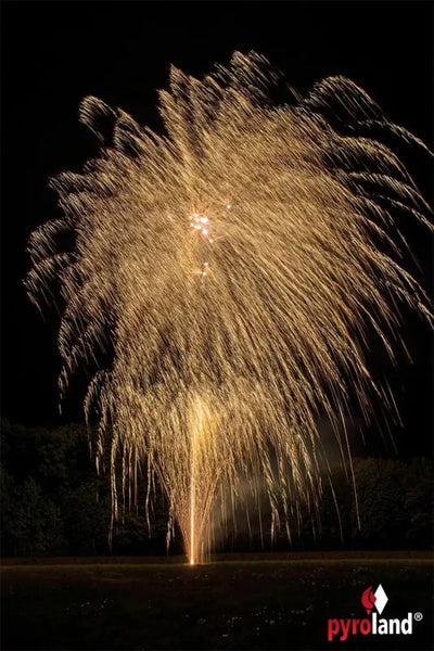 Hairforce One - Vorbestellbar