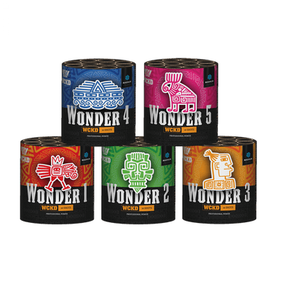 WCKD WONDERS Sortiment aus 5 kleinen Batterien