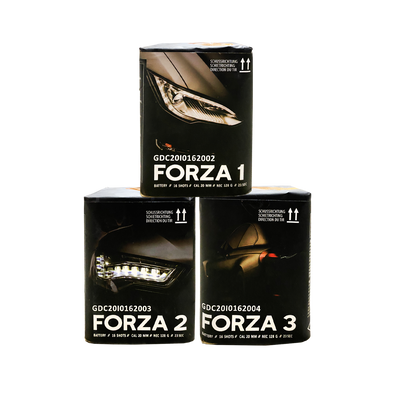 Forza 1 bis 3