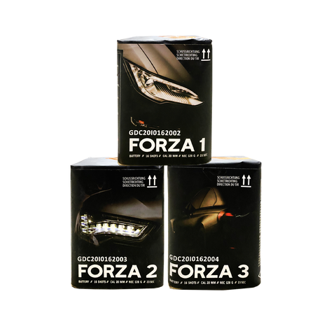 Forza 1 bis 3